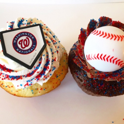 Washington Nationals Edible Image Cake Topper